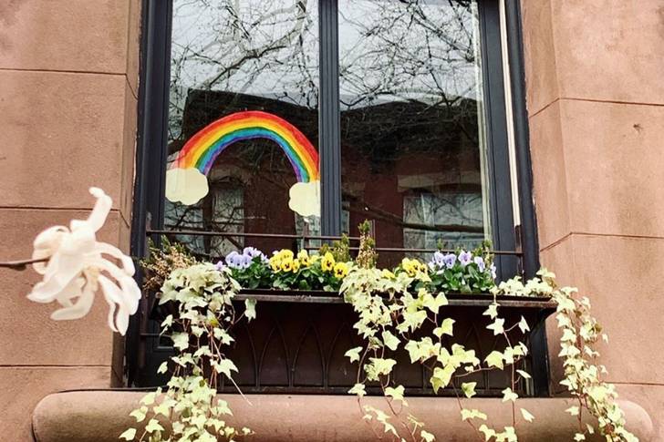 Rainbow in a window